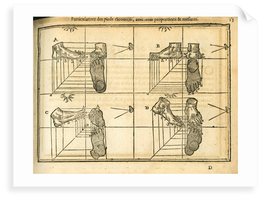 Movement and perspective of the foot by unknown