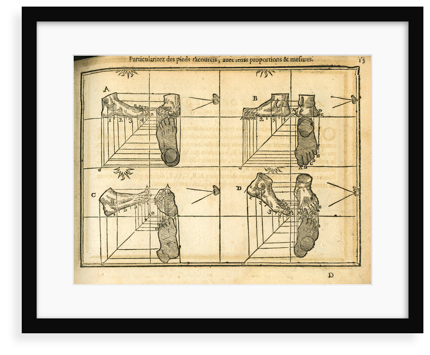 Movement and perspective of the foot by unknown