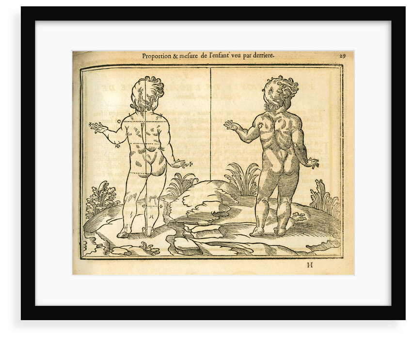 Proportions of a child (back view) by unknown
