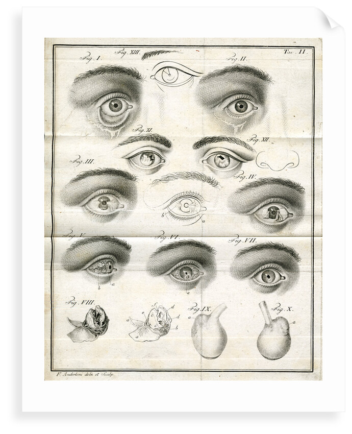 Diagrams of the eye by Faustino Anderloni