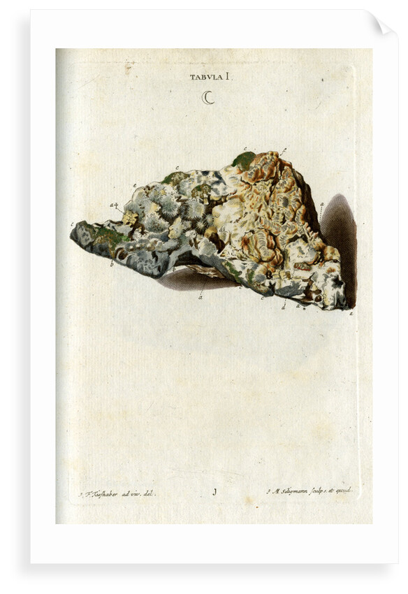 'Argentum' (silver) by Johann Michael Seligmann