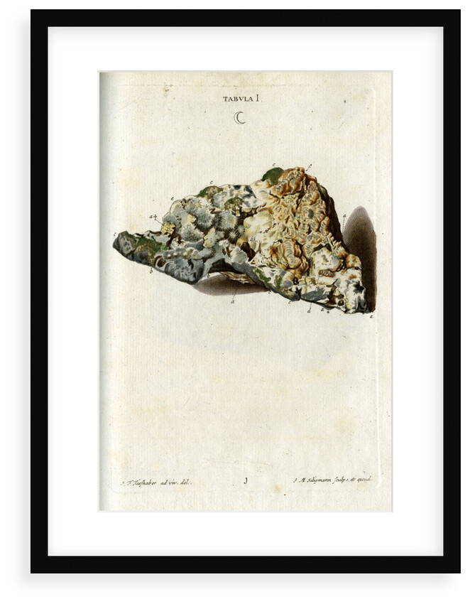 'Argentum' (silver) by Johann Michael Seligmann