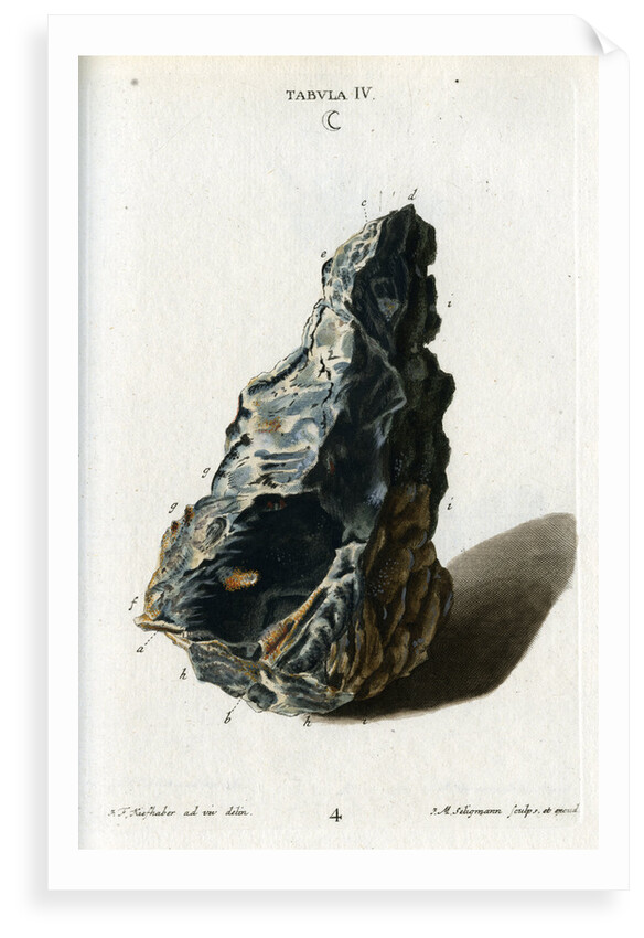 Crude white silver by Johann Michael Seligmann