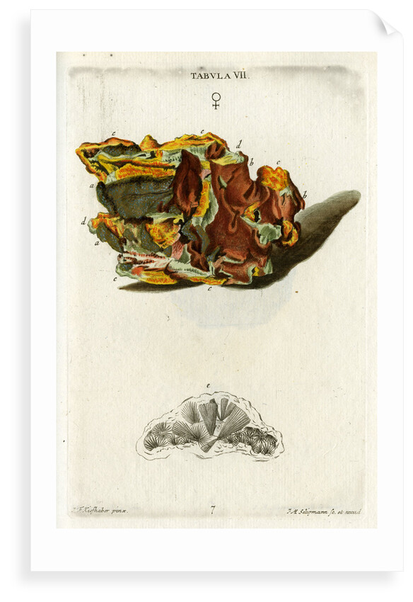 Yellow Copper Pyrites by Johann Michael Seligmann