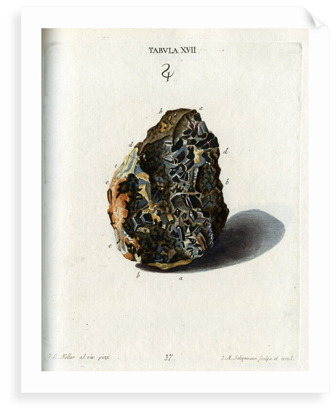 Tin Crystals by Johann Michael Seligmann