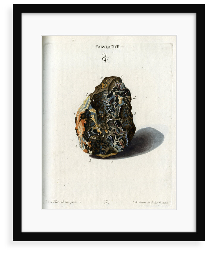 Tin Crystals by Johann Michael Seligmann