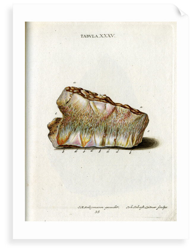 Zeolite by Johann Sebastian Leitner