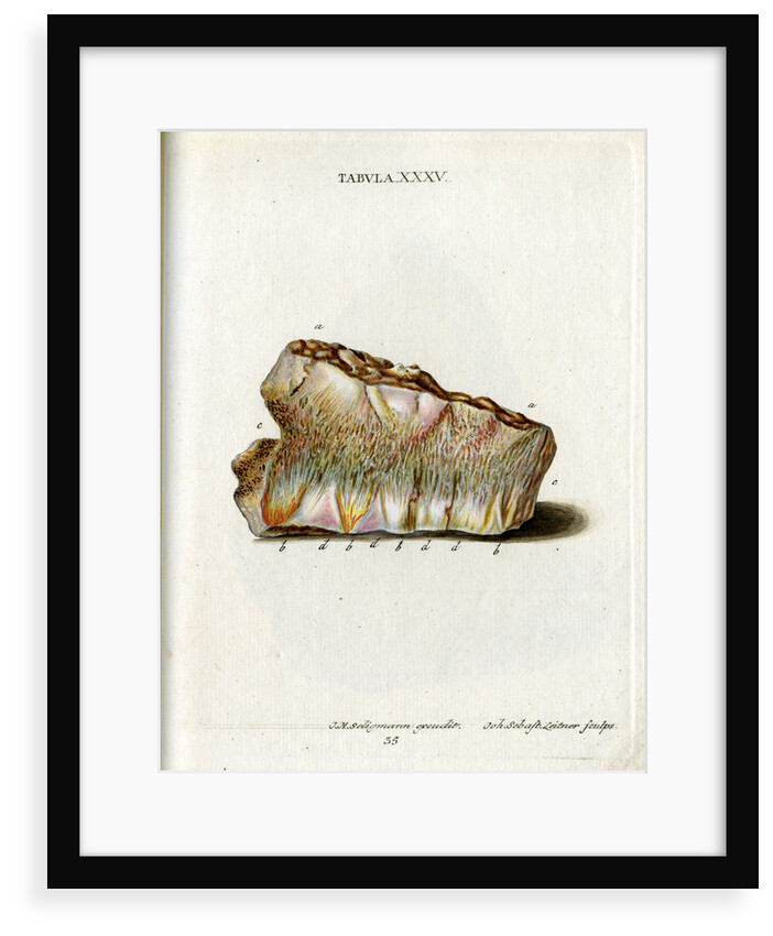 Zeolite by Johann Sebastian Leitner