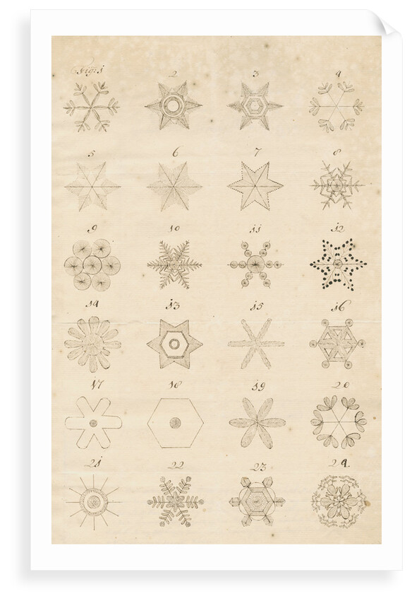 Snowflakes by Leonard Stocke