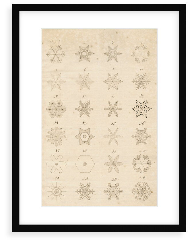 Snowflakes by Leonard Stocke