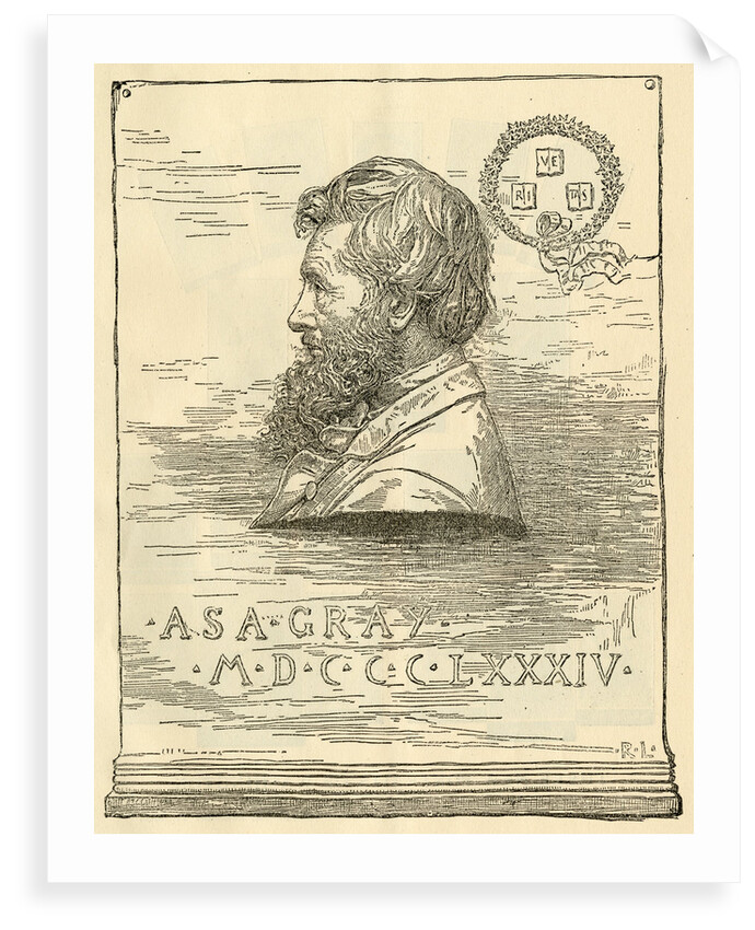 Portrait of Asa Gray (1810-1888) by R. L.