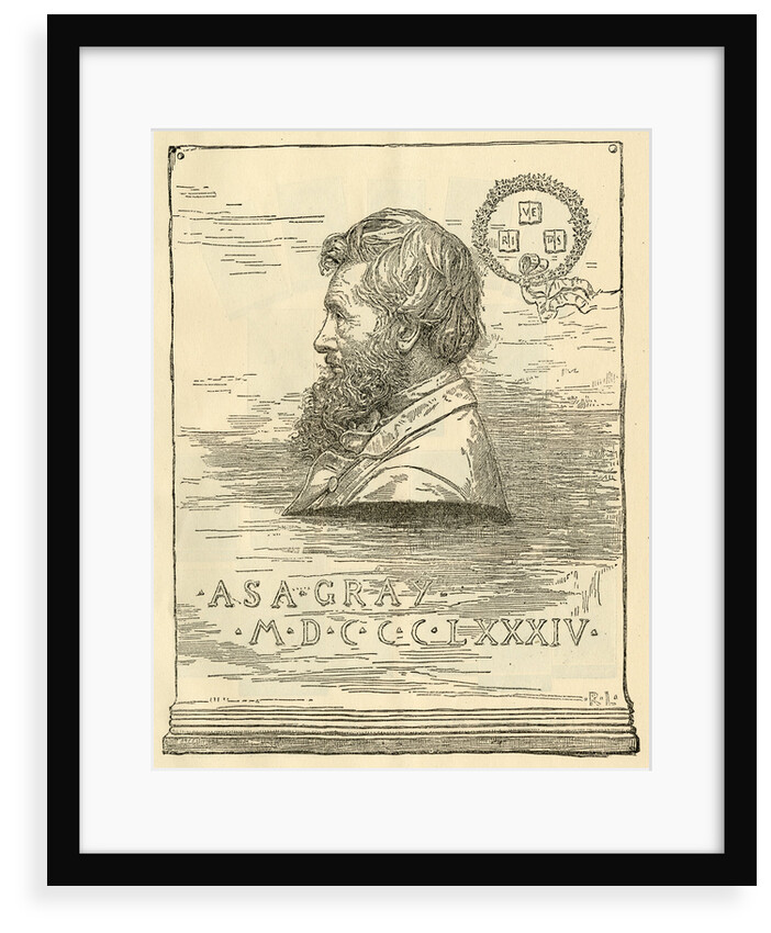 Portrait of Asa Gray (1810-1888) by R. L.