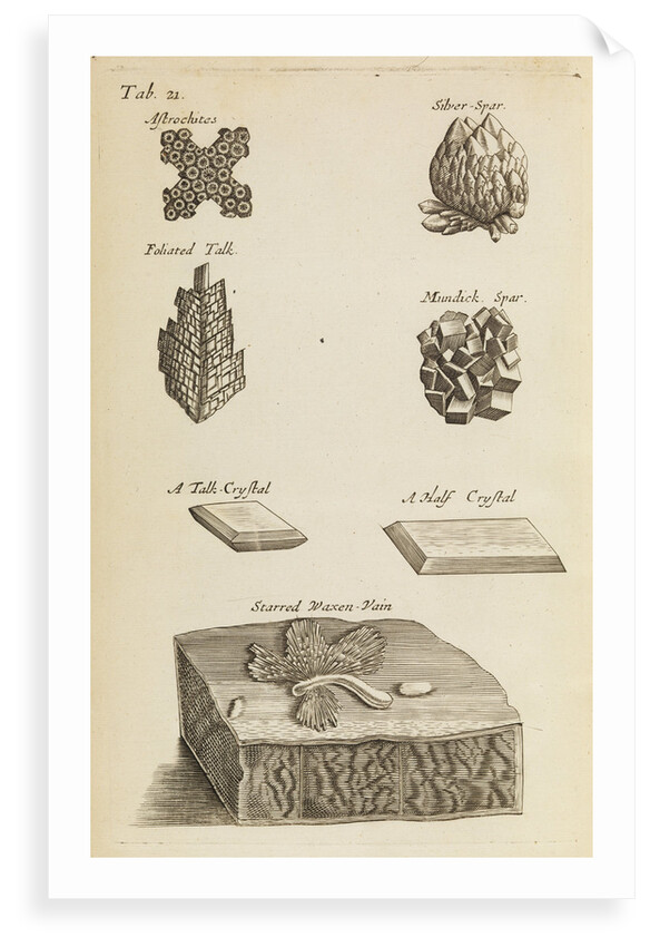 Stones and crystals in the Royal Society's Repository by Anonymous