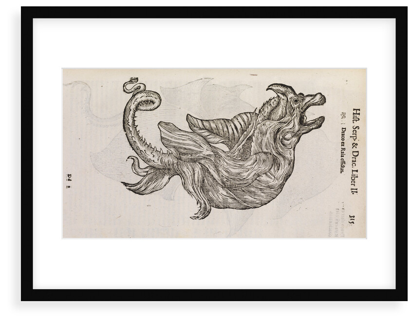 A 'dragon' made from fish parts by unknown