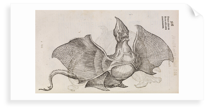 A 'dragon' made from fish parts by unknown