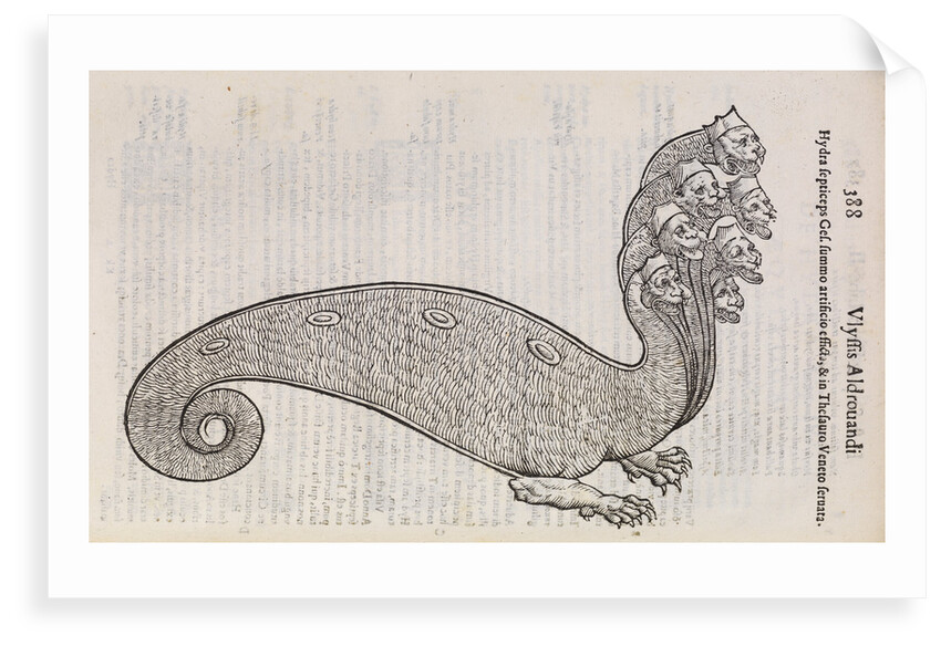 A 'hydra' by unknown