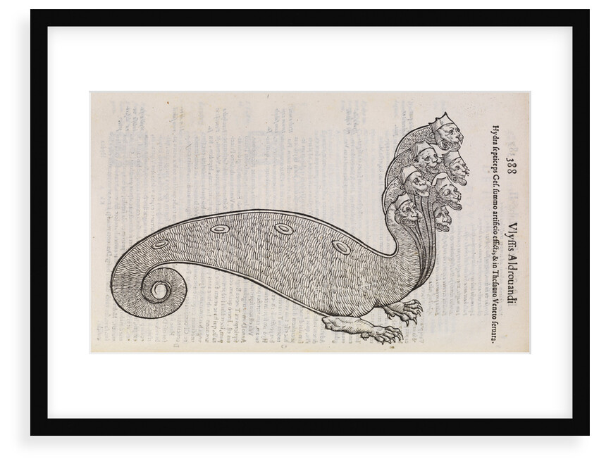 A 'hydra' by unknown