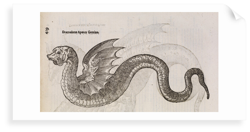 A 'winged dragon' by unknown