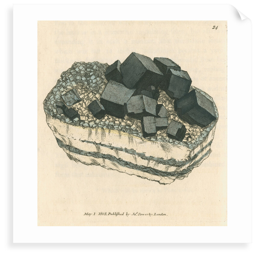 'Plumbum galaena' by James Sowerby