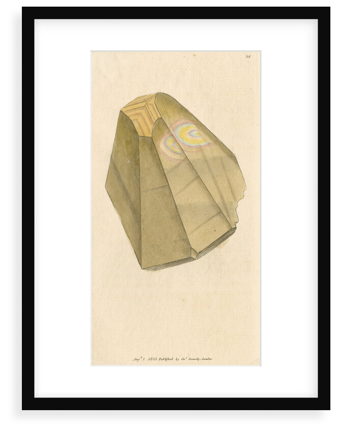 'Calx carbonata' by James Sowerby