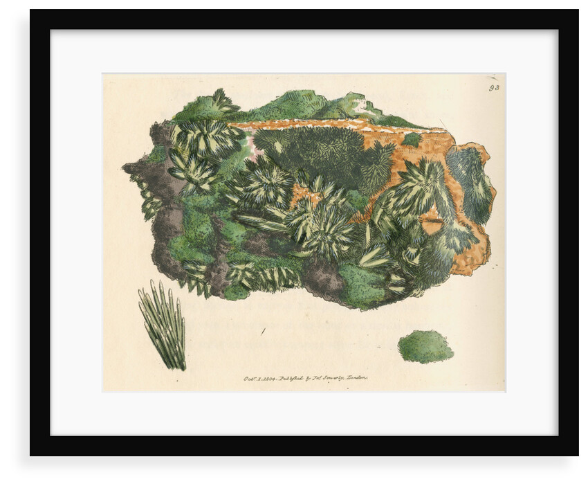'Cuprum arseniatum' by James Sowerby