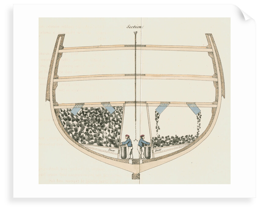 Steamship coaling by Anonymous