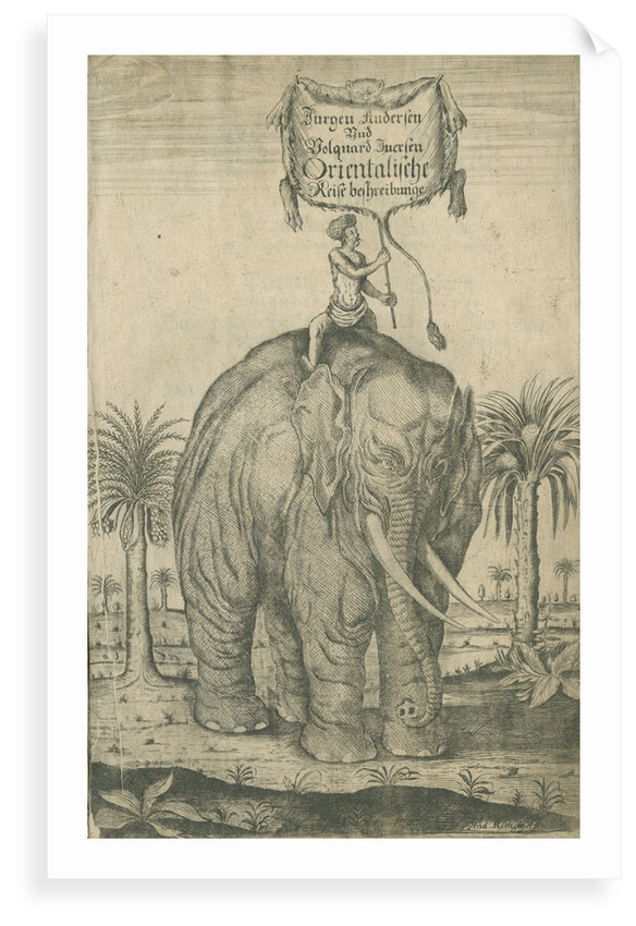 Indian elephant by Andreas Lorenzen Rothgiesser