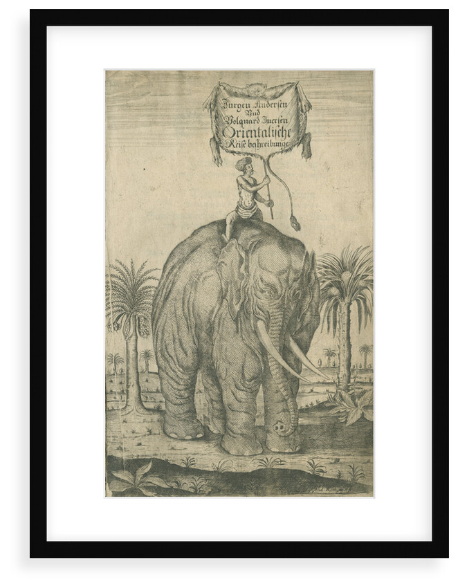 Indian elephant by Andreas Lorenzen Rothgiesser