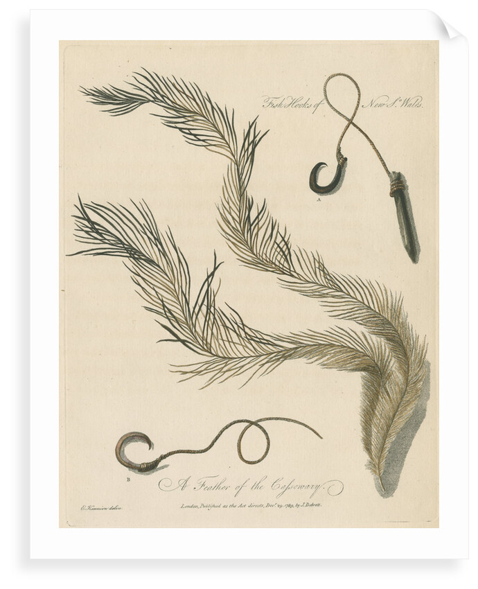 'A Feather of the Cassowary' by Edward Kennion