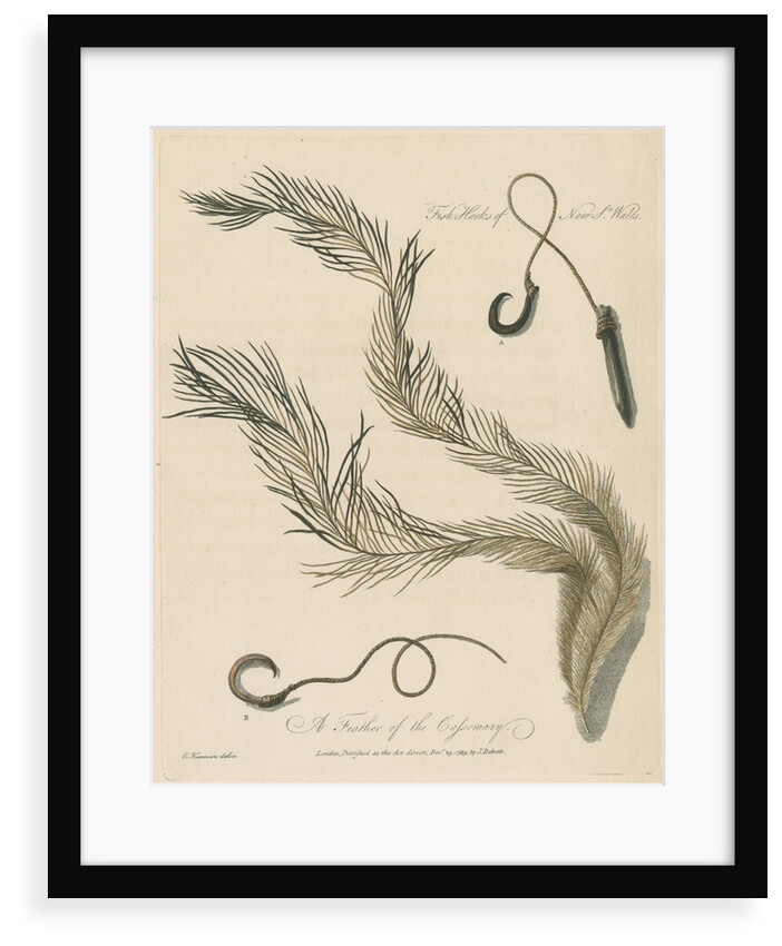 'A Feather of the Cassowary' by Edward Kennion