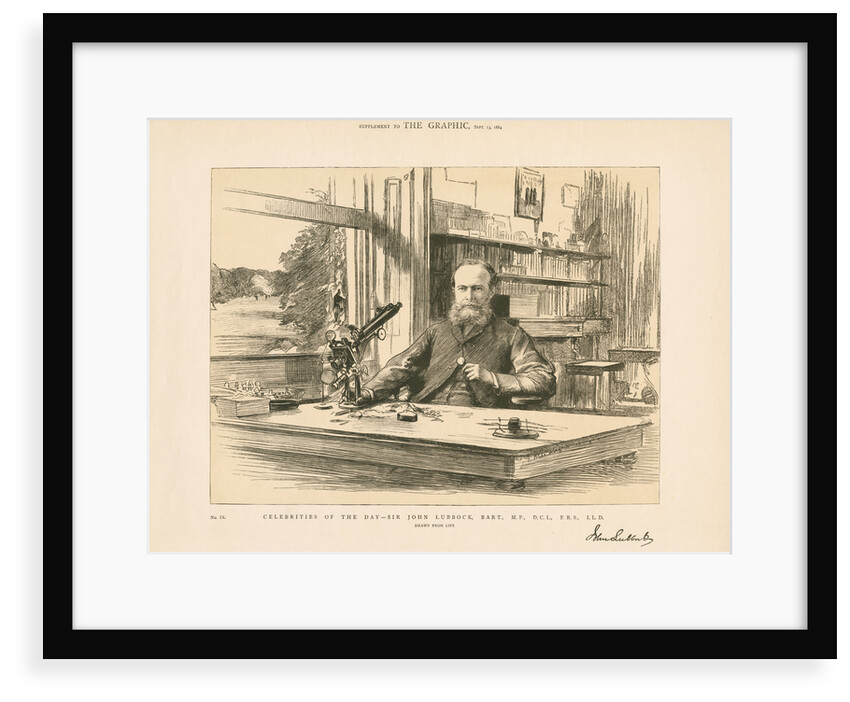 Portrait of John Lubbock, 1st Baron Avebury (1834-1913) by Anonymous