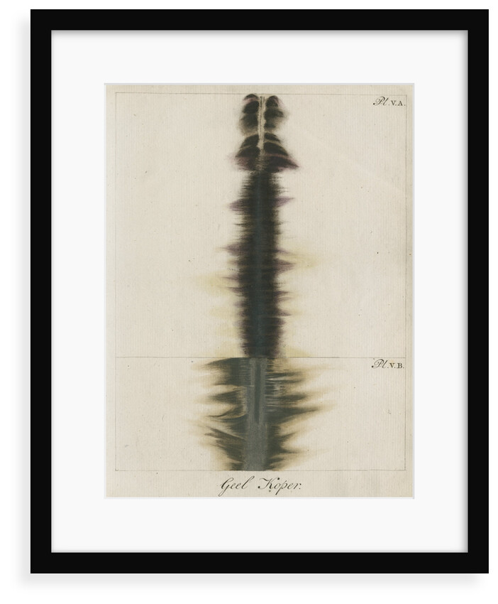 Brass wire explosion pattern by Anonymous