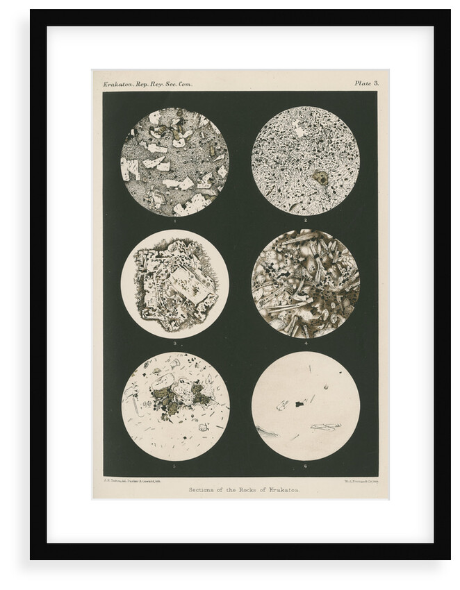 Lavas of Krakatoa by Anonymous