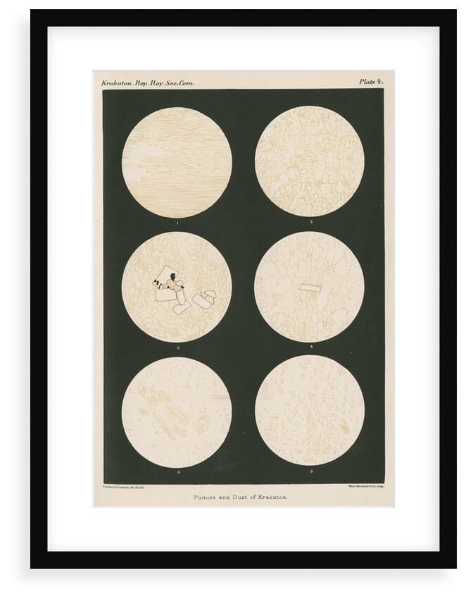 Pumice and dust of Krakatoa by Anonymous