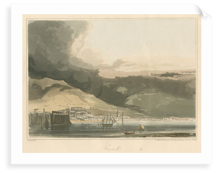 'Funchall' by Thomas Medland