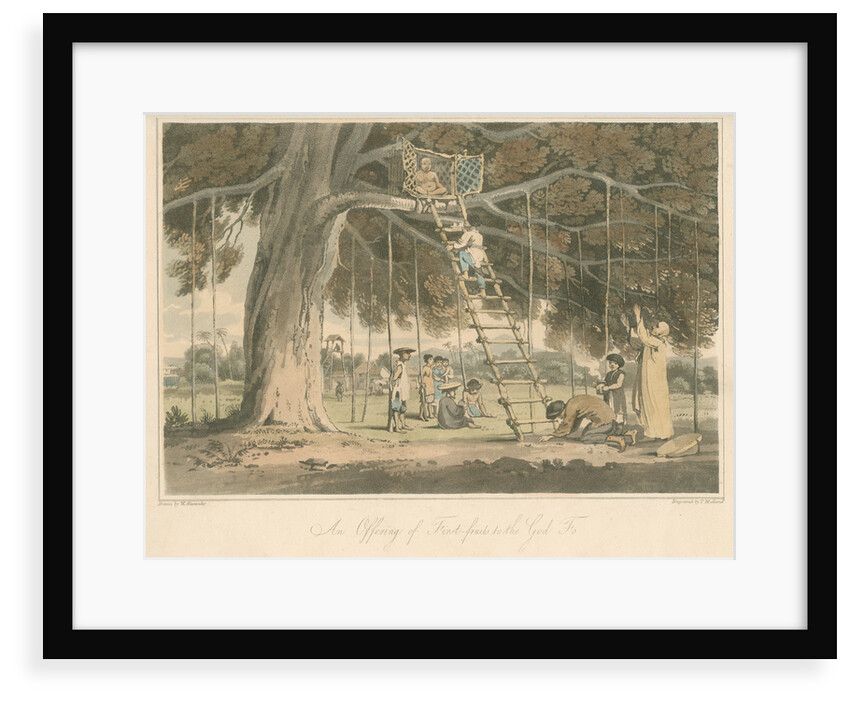 'An Offering of First-fruits to the God Fo' by Thomas Medland