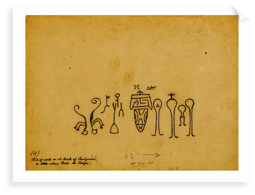 Picture-writing of a family group and iguanas by Richard Spruce