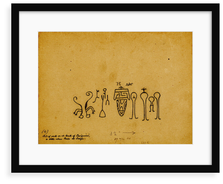 Picture-writing of a family group and iguanas by Richard Spruce