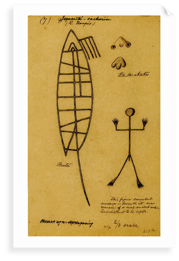 Picture-writing of a dolphin and the feet of tapir by Richard Spruce