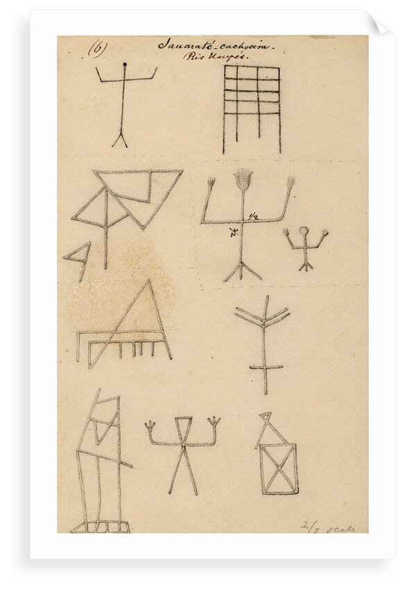 Picture-writing by Richard Spruce