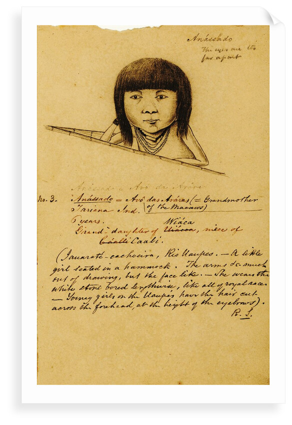 Portrait of Anássado by Richard Spruce