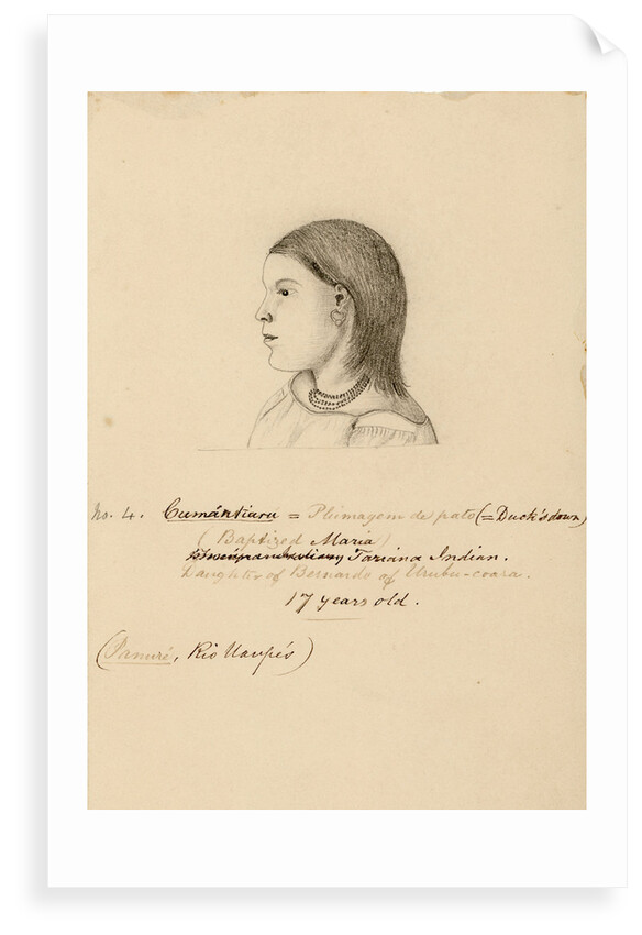 Portrait of CumÃ¡ntiara by Richard Spruce