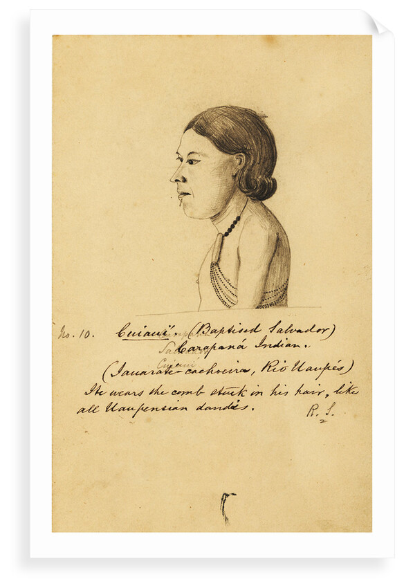 Portrait of CuiauÃ­ by Richard Spruce