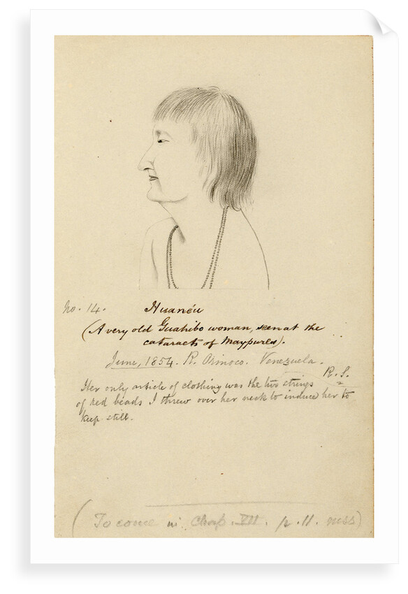 Portrait of HuanÃ©au by Richard Spruce