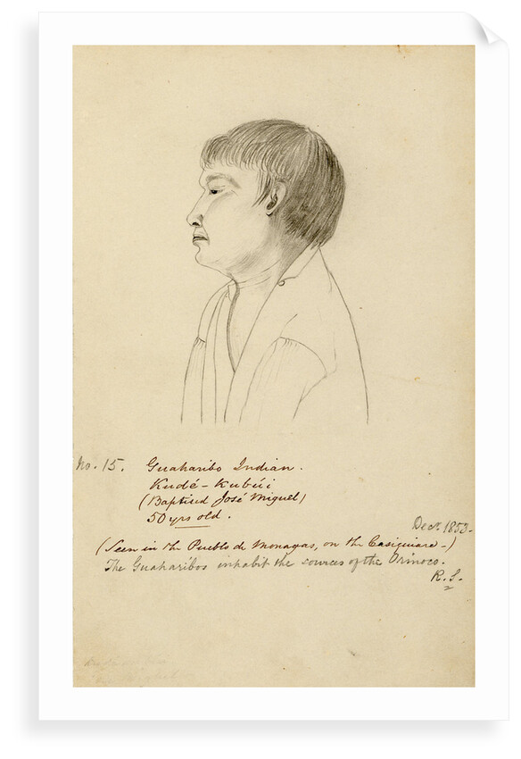 Portrait of KudÃ©-KubÃºi by Richard Spruce