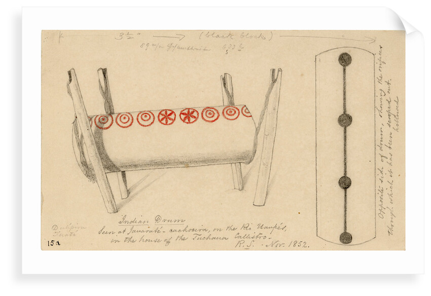 Two views of an Indian drum by Richard Spruce