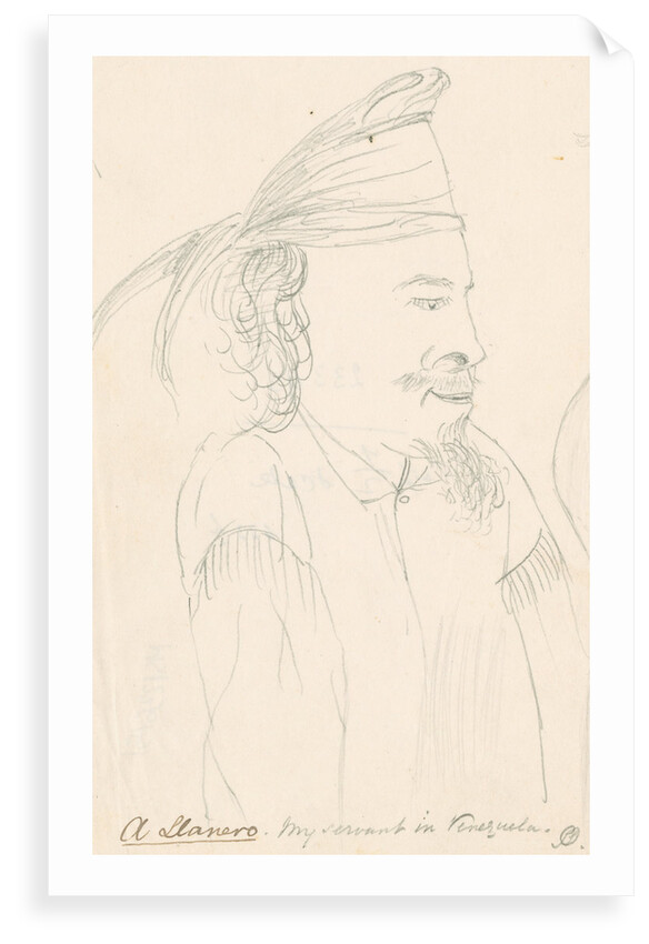 Portait of Spruce's attendant at Maypures by Richard Spruce