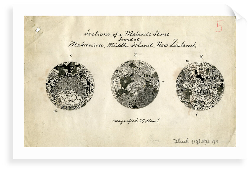 Sections of meteorite by George Henry Frederick Ulrich