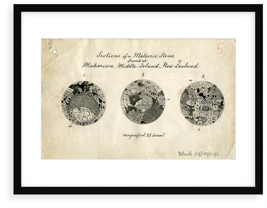 Sections of meteorite by George Henry Frederick Ulrich