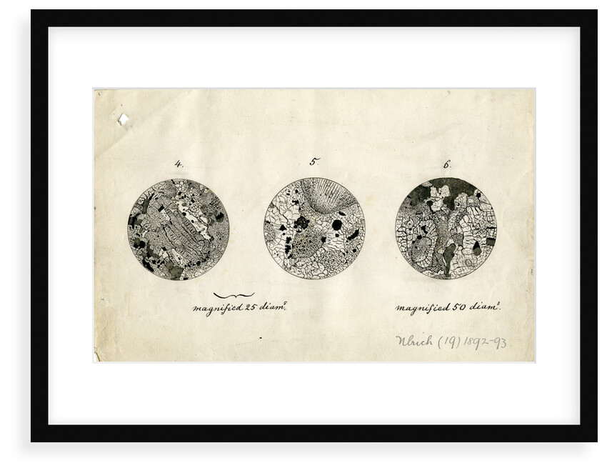 Sections of meteorite by George Henry Frederick Ulrich